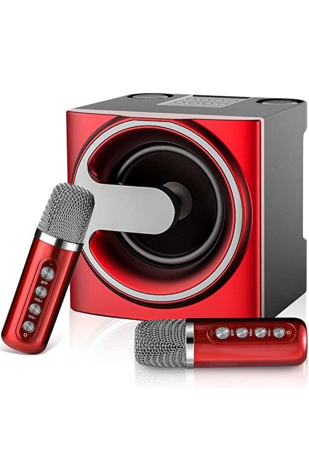 Karaoke System With 2 Microphones And Transformation Light Stereo Speaker Support Bluetooth