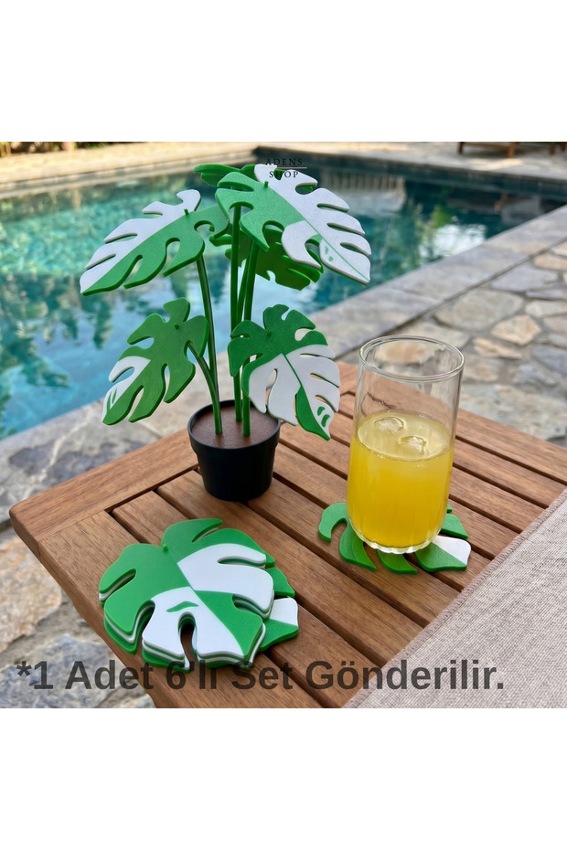 Monstera Variegata Decorative Set of 6 Leaf Coasters with Flower Pot