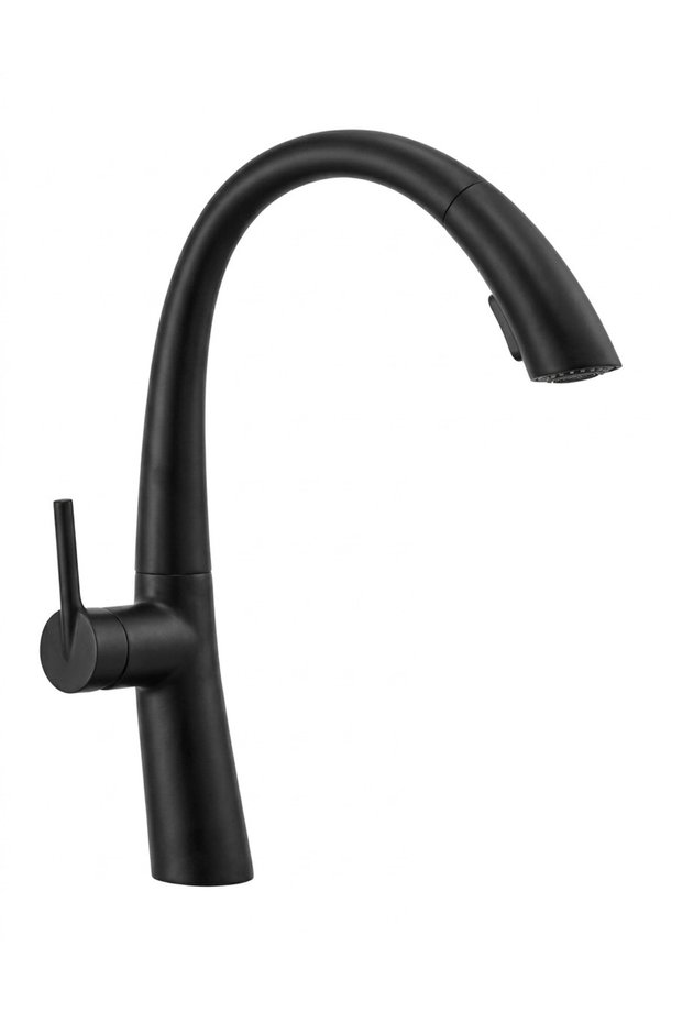 Retro Sink Kitchen Faucet [Matte Gold/Black]