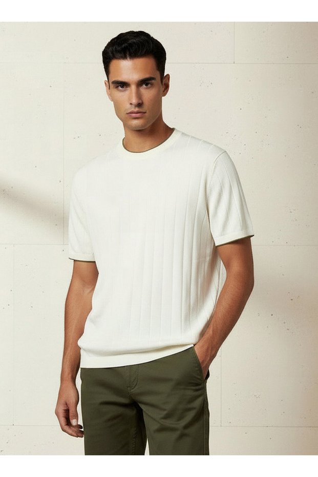 Men Regular Fit Crew Neck Short Sleeve Textured T-shirt
