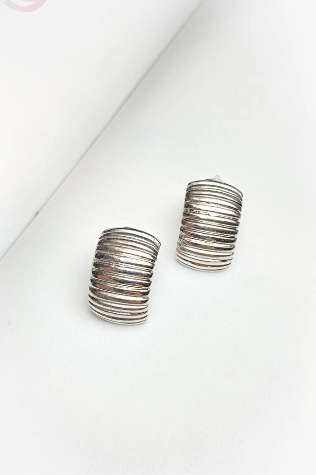 Striped Silver Color Earrings