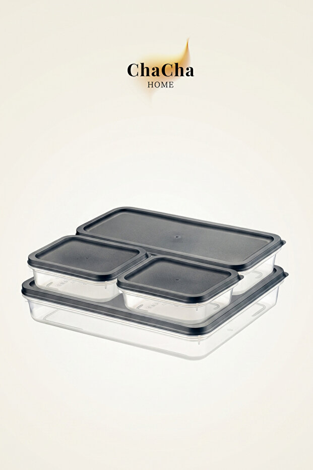 Alfa 4-Piece Bpa-Free Deep Freezer and Refrigerator Storage Container Set Transparent Food Organizer