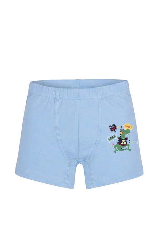 Boxer
