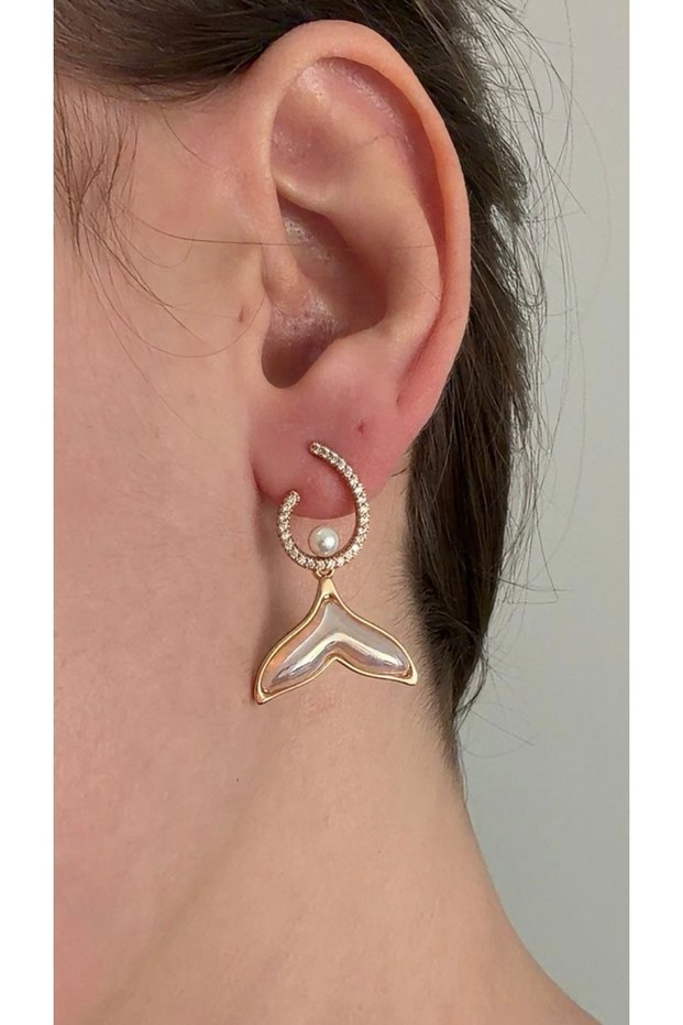 Steel Inoxidable Gold Silver Earrings | Gift Boxed