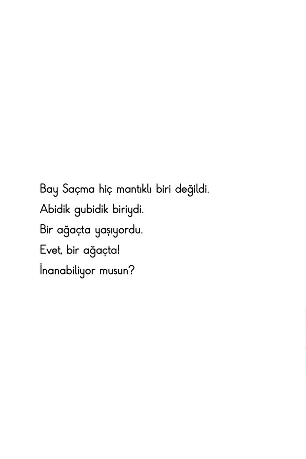 Bay Saçma - 3