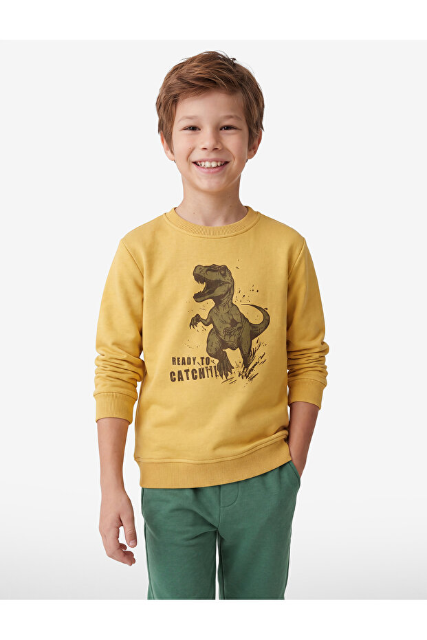 Dinosaur Printed Long Sleeve Ribbed Crew Neck Sweatshirt