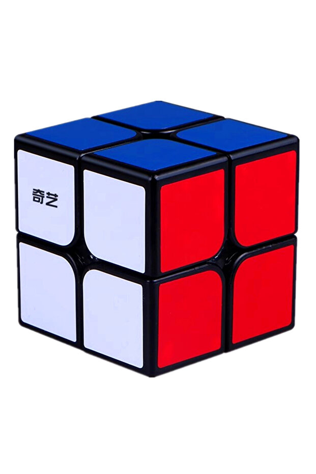 2x2 QiYi Magic Cube 2x2 3x3 4x4 5x5 Alien Magic Cube Maple Leaf Slanting Pyramid Professional Cubo M