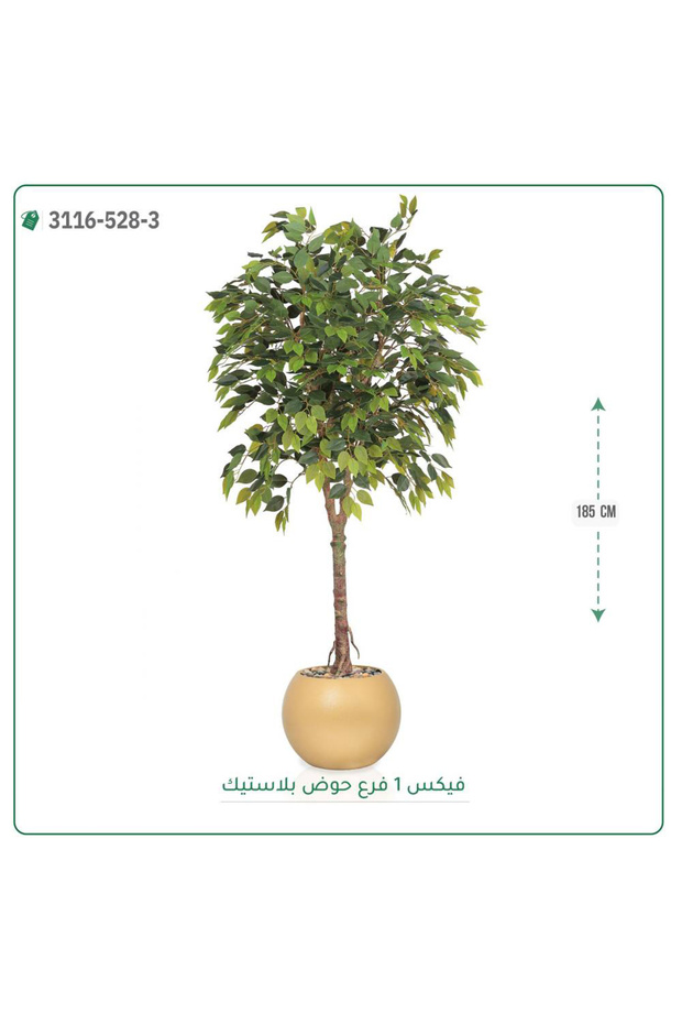 شجرة فيكس صناعية حوض بلاستيك { ارتفاع 185 سم }