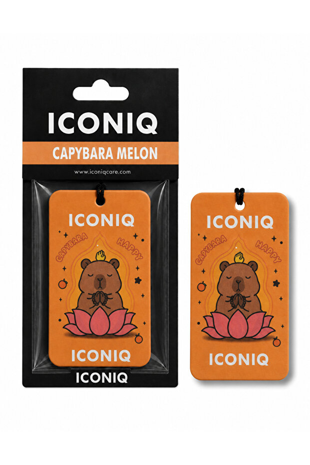 CAPYBARA MELON OTO ARAÇ KOKUSU