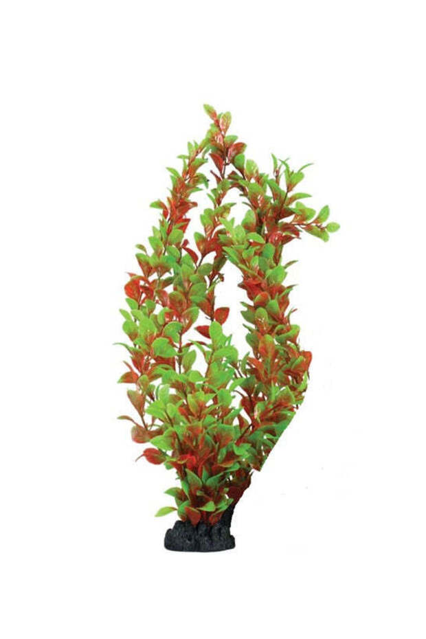 Kamishi Ludwigia Aquarium Plant Decor