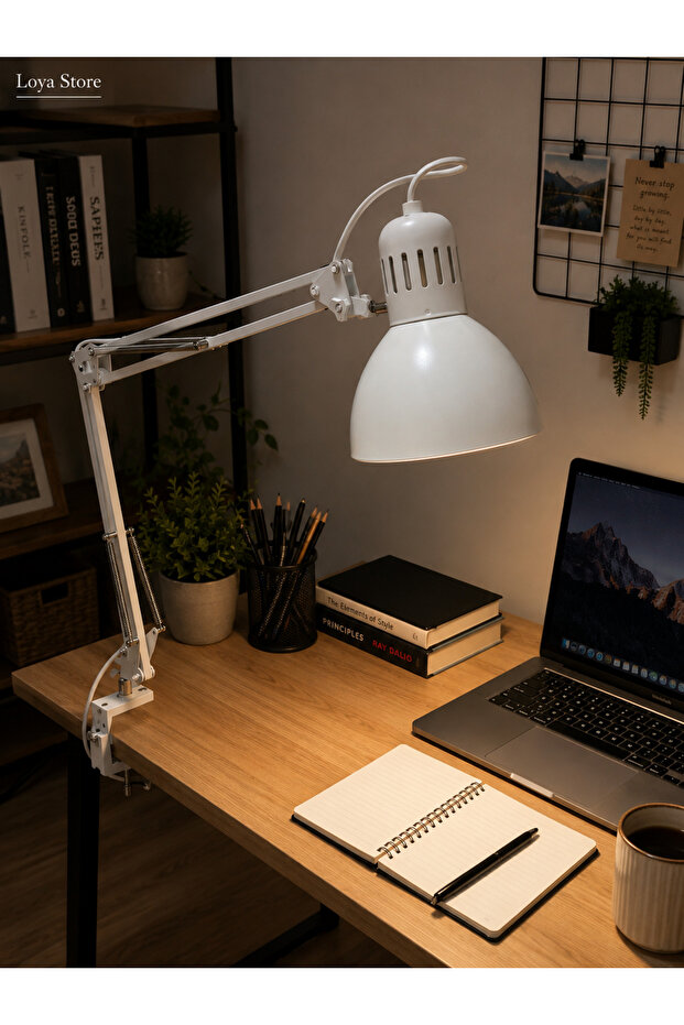 Loya Store Tertial Table Work Lamp