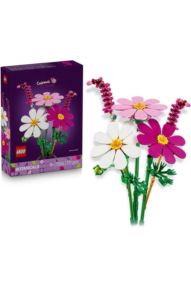 Botanicals Cosmos Flowers, 171 Pieces