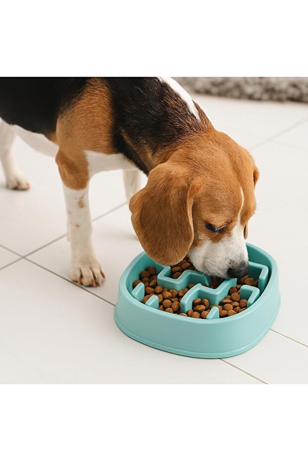 Slow Feeder Dog Bowl,Puzzle Maze for Small to Medium Dogs,2 Cup Capacity,Non-Slip,Blue