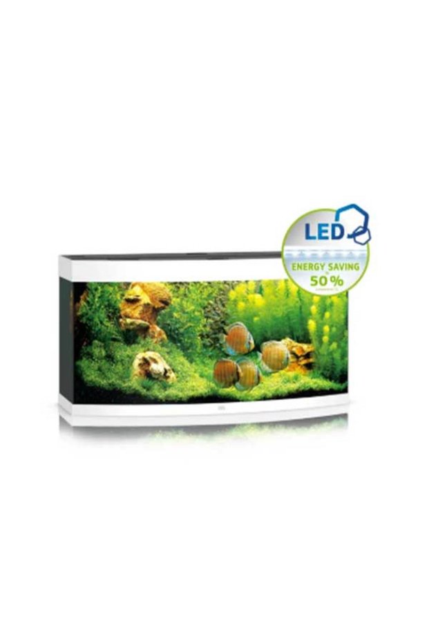 Vision 260 LED White
