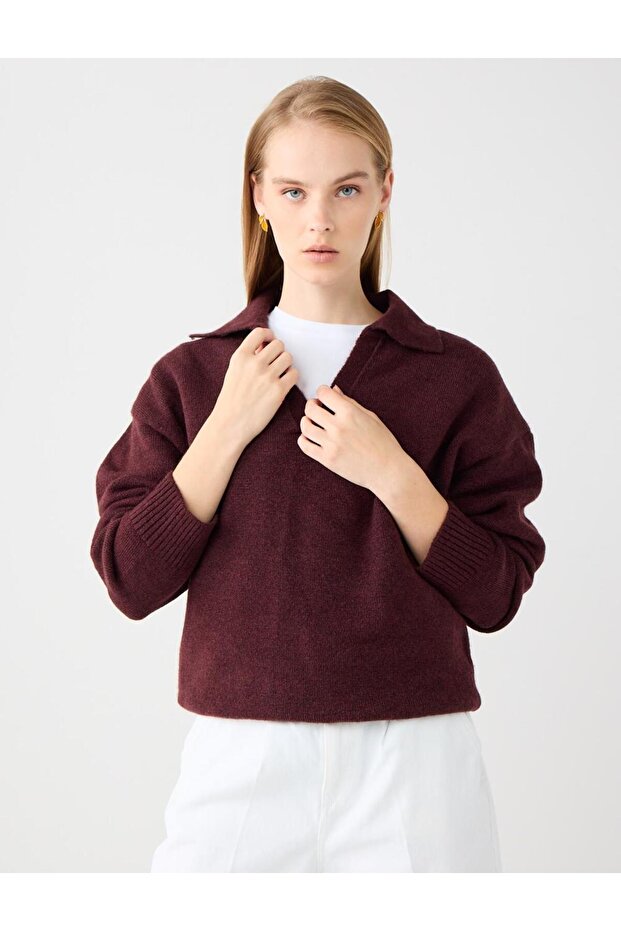 Burgundy V-Neck Long Sleeve Knitwear Sweater