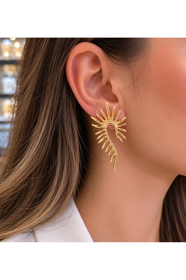 Wing Design Earrings - 2