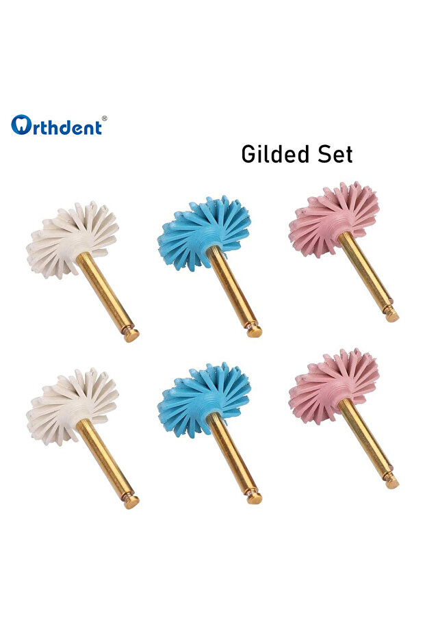 golden set 6Pcs/Set Dental Polisher Composite Resin Polishing Discs Diamond System Burs RA Dentistr