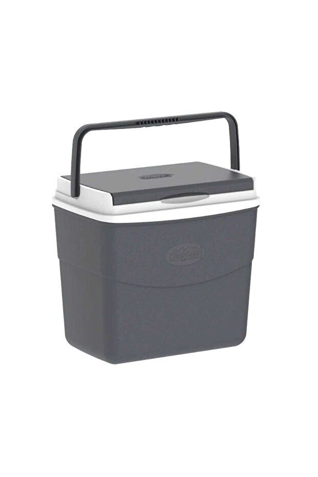 Picnic Icebox