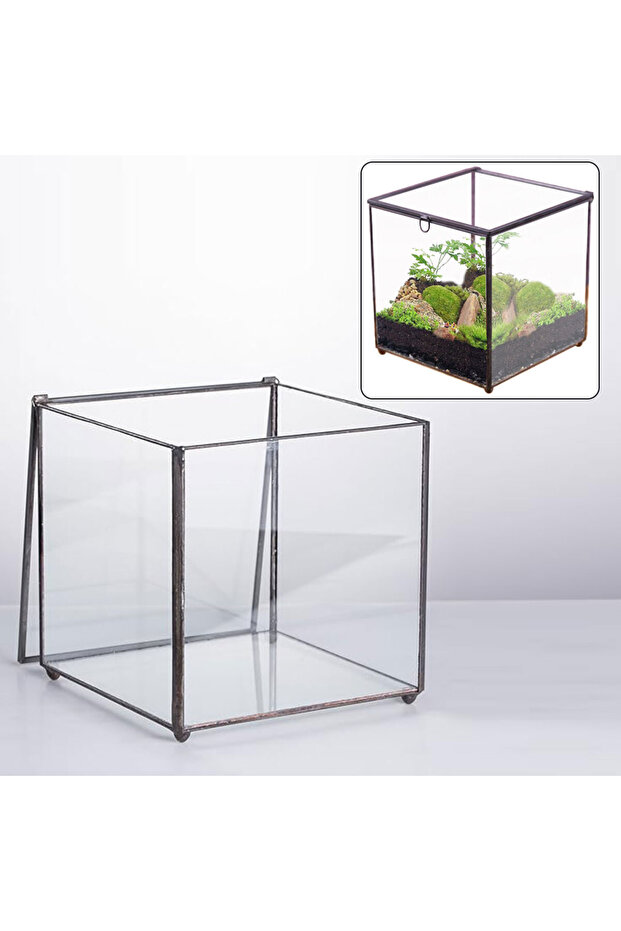 حوض تيراريوم بالوداريوم 15x15x16
