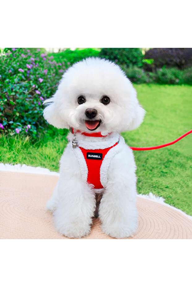 Plush Dog Collar Set – Soft Cat and Dog Leash, Walking Rope and Collar Set