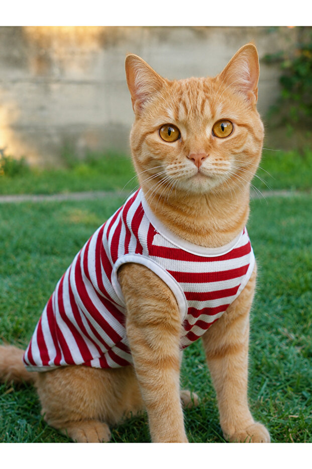 Cat Athlete Striped Summer Cat Outfit - Size XS