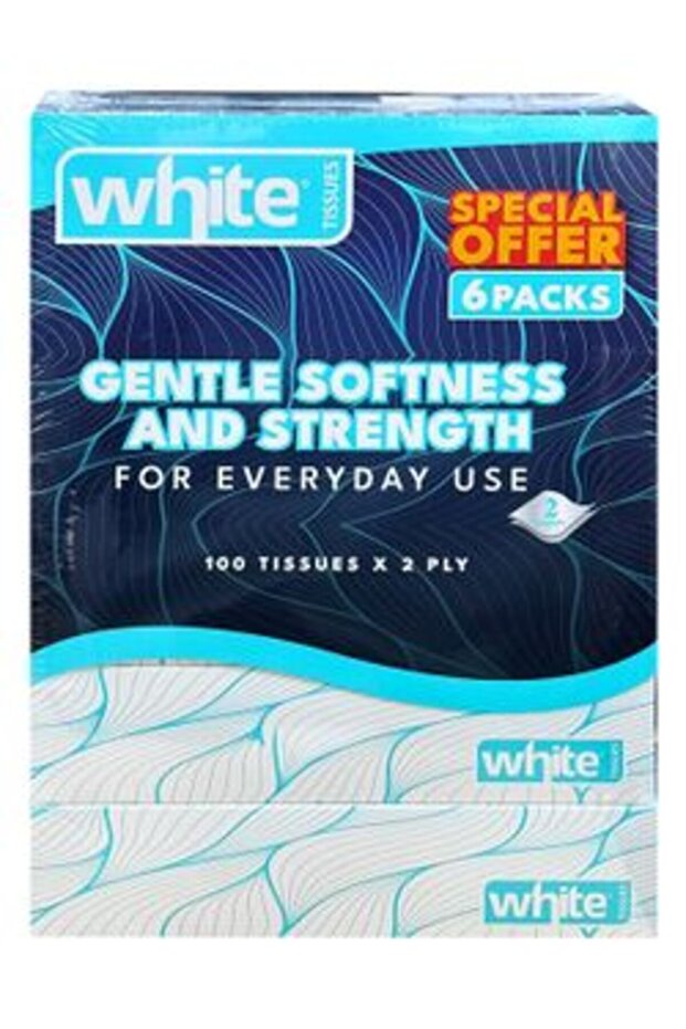 Facial Tissues Duplex 100 Pulls x 2 Ply