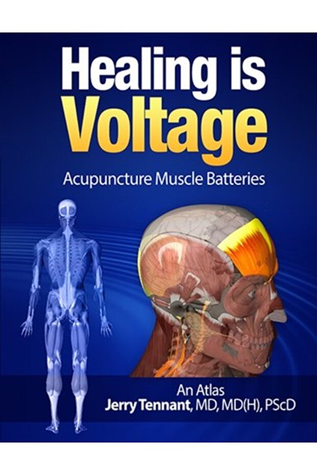 Healing Is Voltage Acupuncture Muscle Batteries