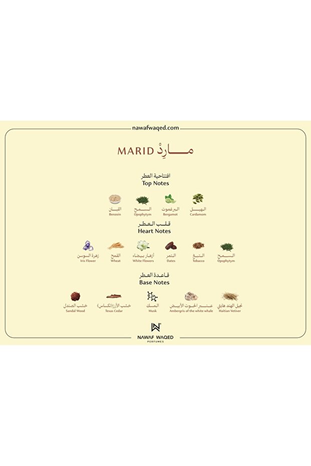 مــارِدْ - MARID - 2