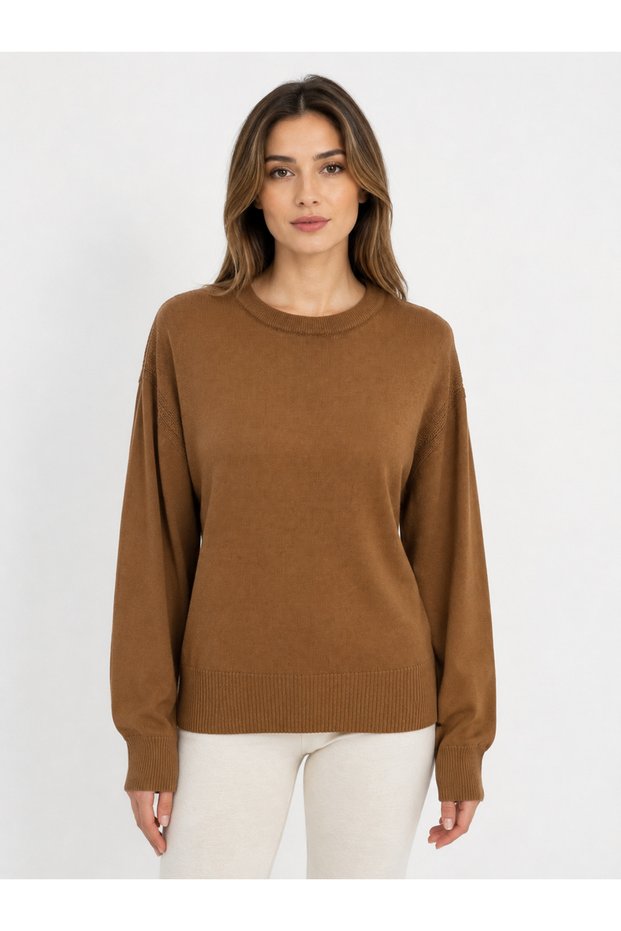 Women's Brown Knitwear Round Neck Sweater