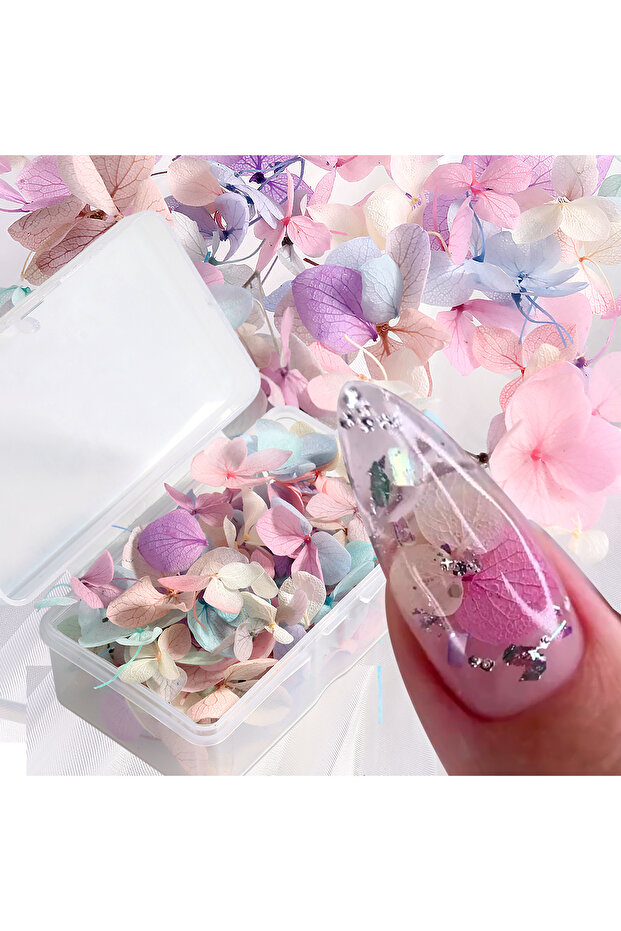 FYS-01 Pastel Mixed Preserved Hydrangea Nail Flower, Natural Real Mini Floral Petals Nail Art Decora