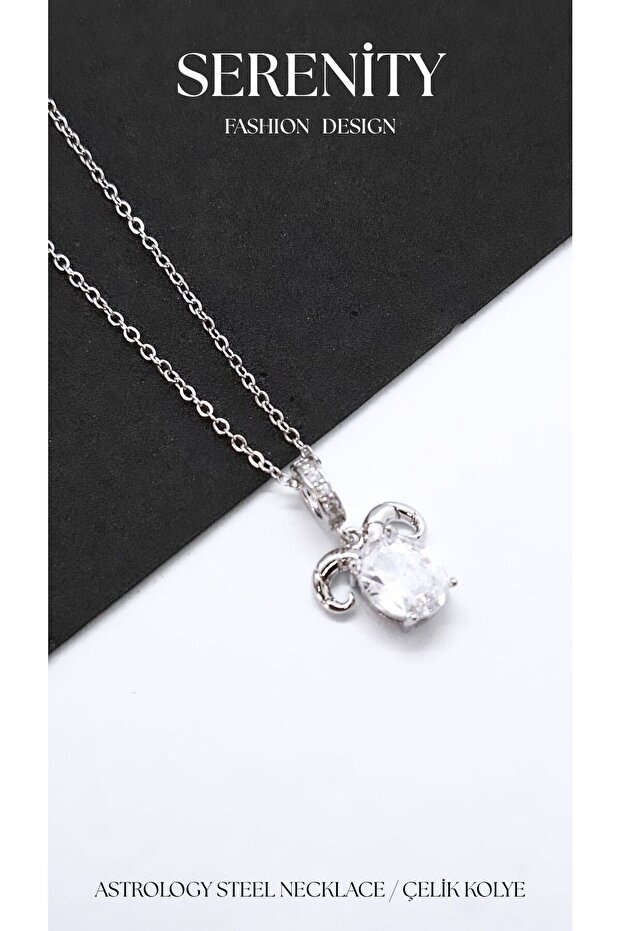 Astrology Zodiac Signs Figured Steel Necklace