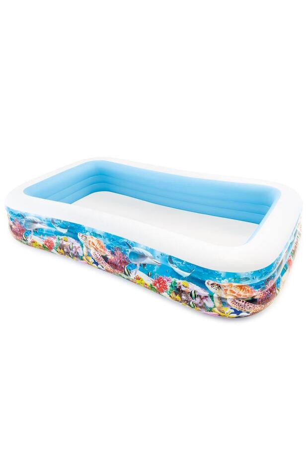 Ih58485 Fish-Patterned Transparent Family Pool