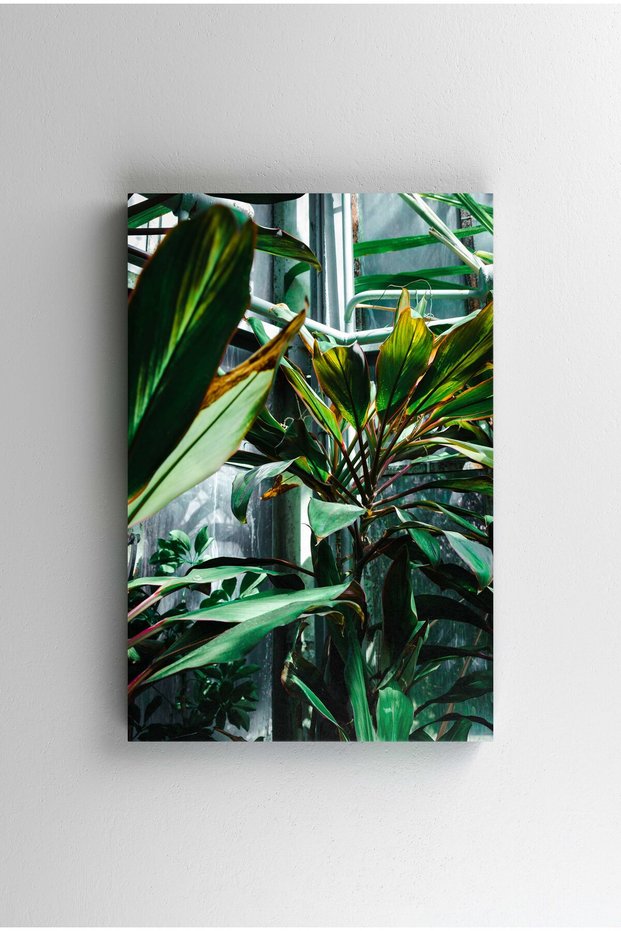 Tablou Canvas - Botanical Garden 4