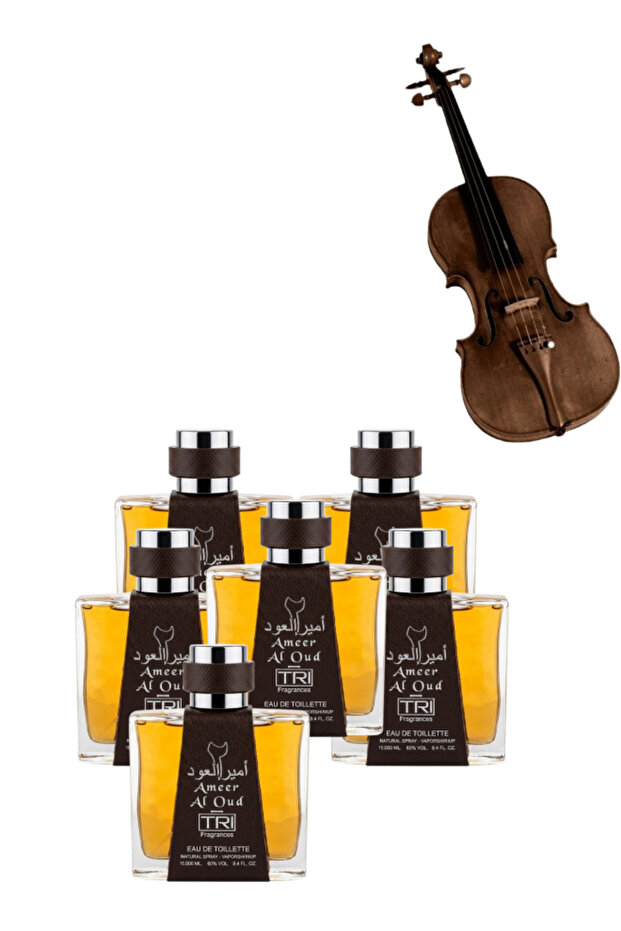6 قطع من عطر أمير العود 100 مل