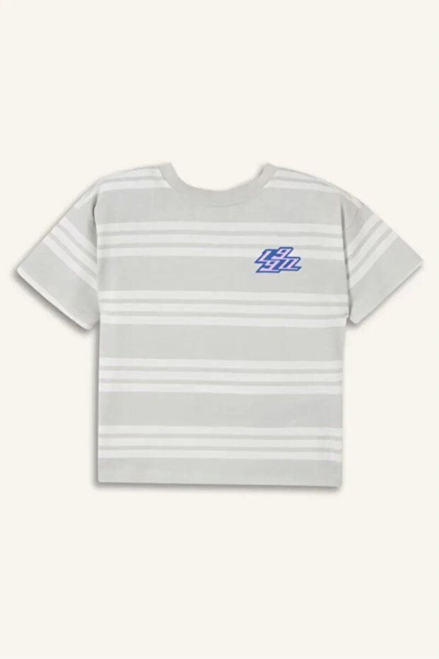 100% Cotton Regular Fit Short Sleeve Gray T-Shirt Baby Boy H4799A526Sm