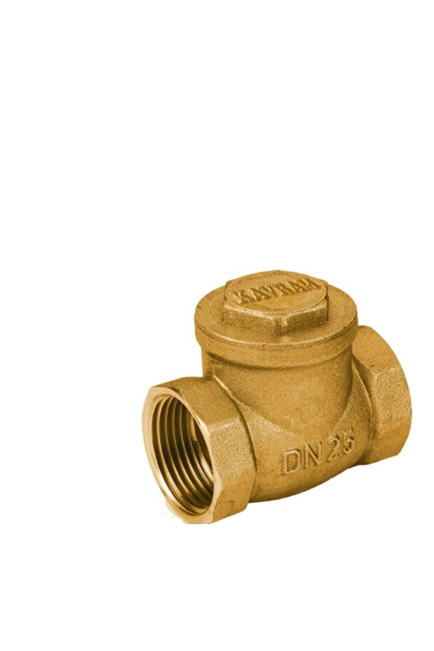 3/4 Crossed Check Valve