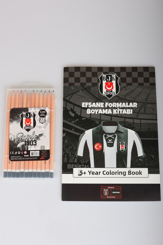 Licensed Painting Set 12-Piece Dry Crayons and Coloring Book