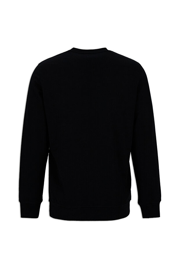 Crew Neck Regular Fit Cotton Basic Sweatshirt - 7