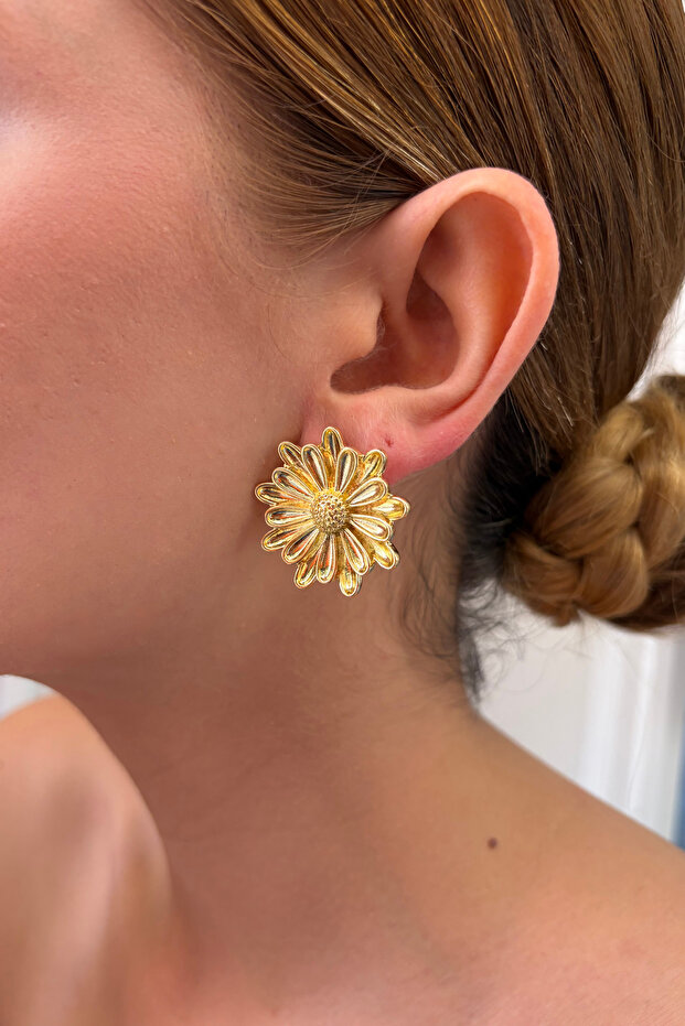 Solea Collection - 2