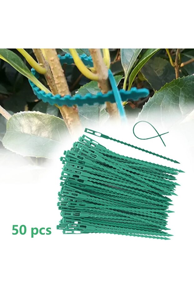 50pcs green 50pcs Adjustable Plastic Plant Cable Ties Reusable for Garden Supplies Tree Climbing Sup