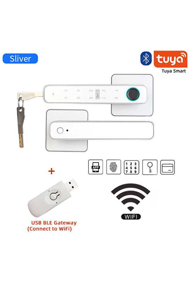XSDTS F3S-Silver Gateway XSDTS Tuya Handle Fingerprint Key Card Digital Smart Door Lock Keypad Key E