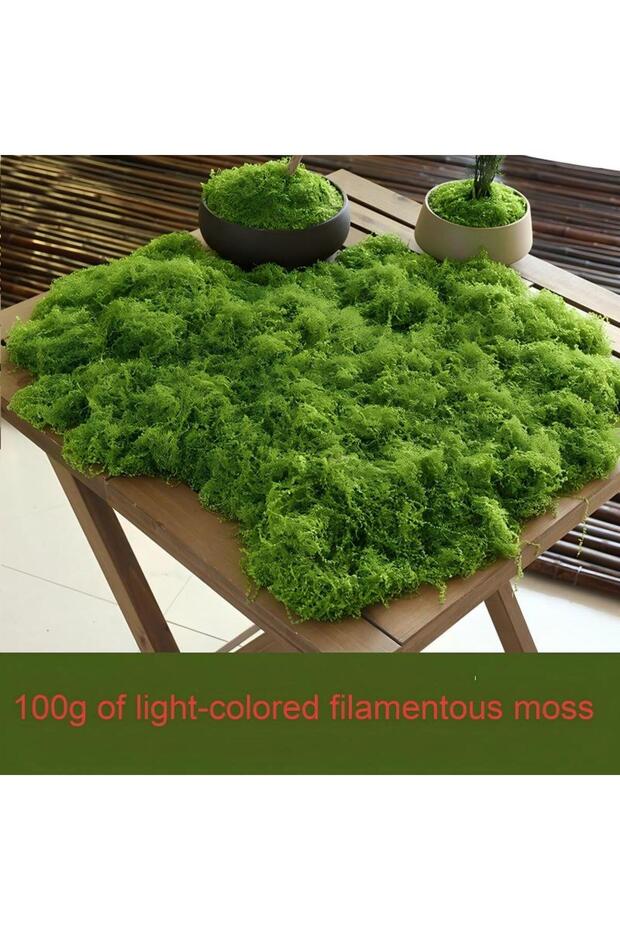 Lightgreen 100g Moss 30/50/100g Artificial Green Plants Moss Grass Home Living Room Garden Decoratio