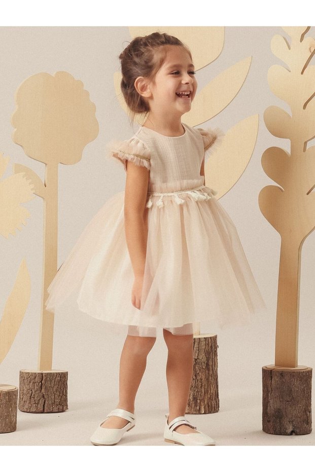 Stylish Baby and Children's Dress with Tassel Detail and Tulle Skirt