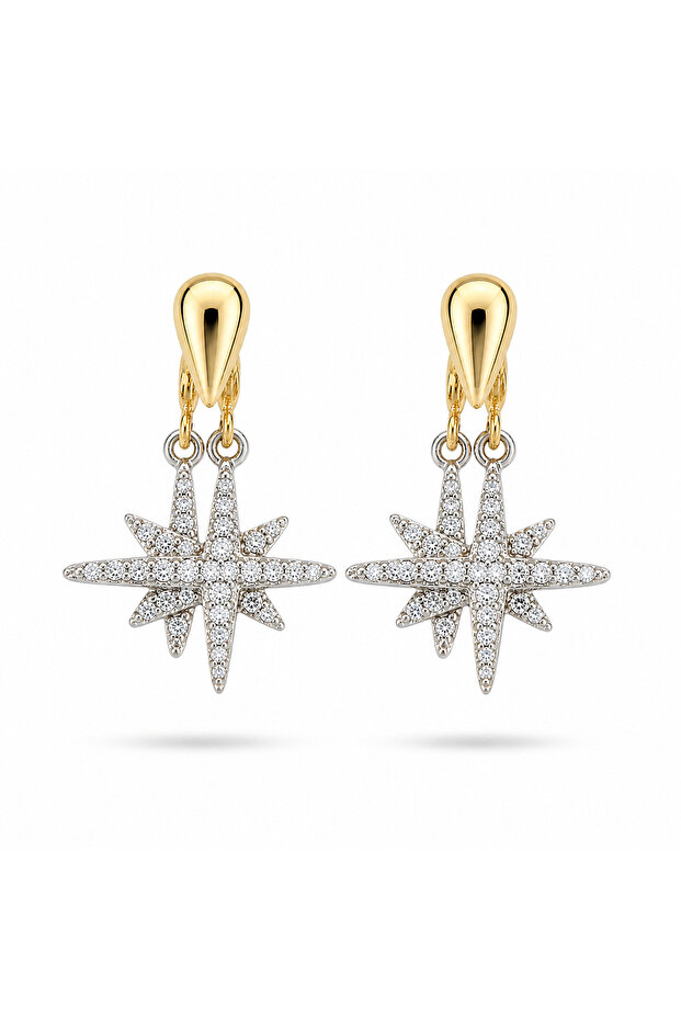 Imported Special Series Viola Earrings