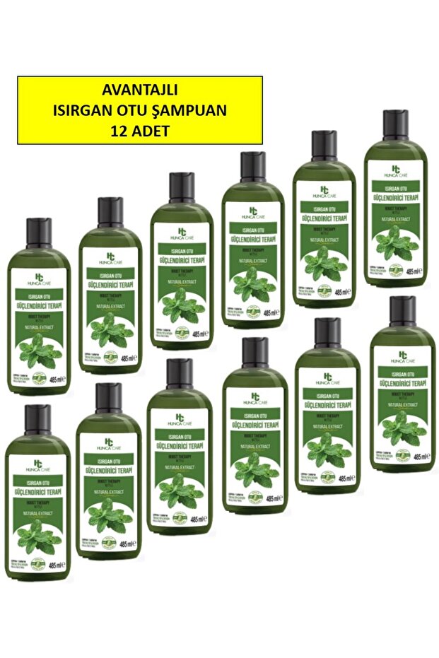 Nettle Shampoo, Anti-Hair Loss, 485 Ml, Pack of 12