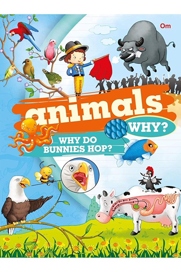 Om Animals Why?
