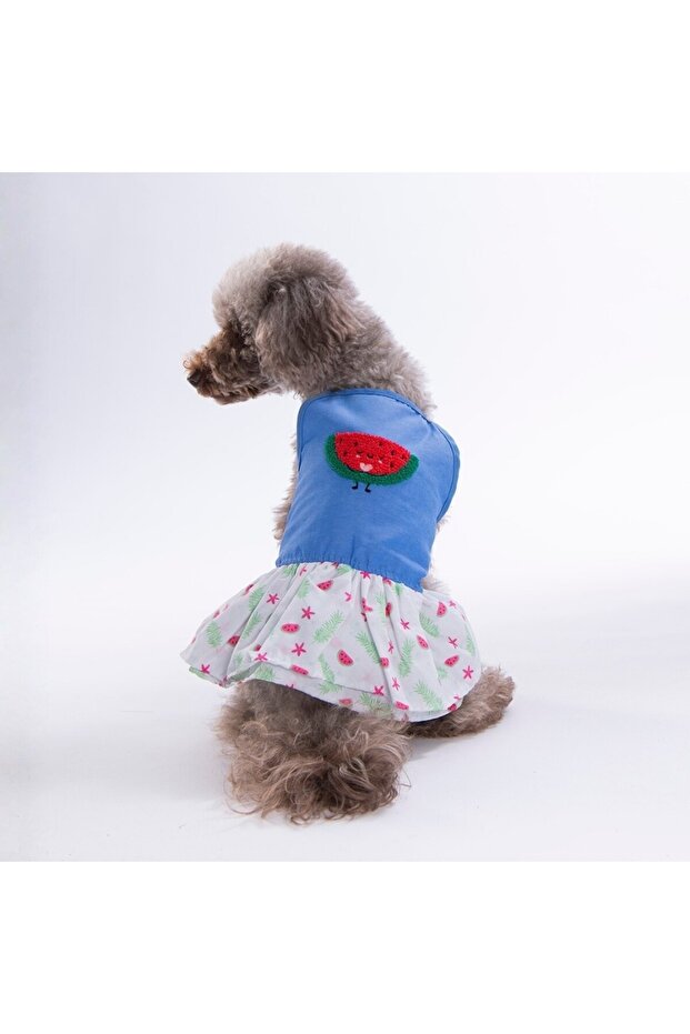 Ruby Slice Denim Watermelon Patterned Jeans Cat Dog Dress - Cat Dog Outfit