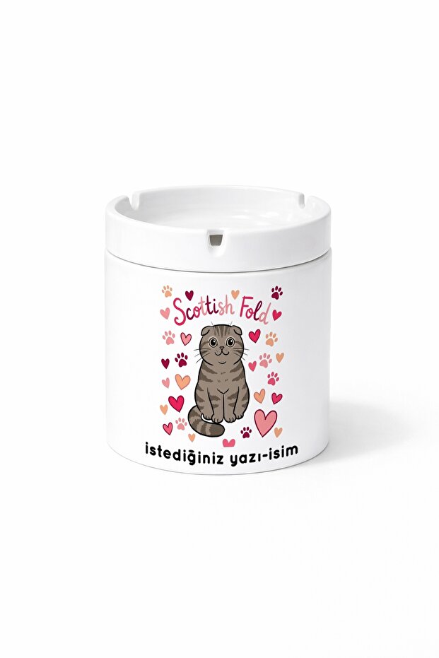 Animal Scottish Fold Cat with Ears Double-Sided Printed Porcelain Magic Mug
