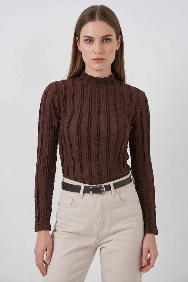 Women's High Collar Textured Brown Blouse