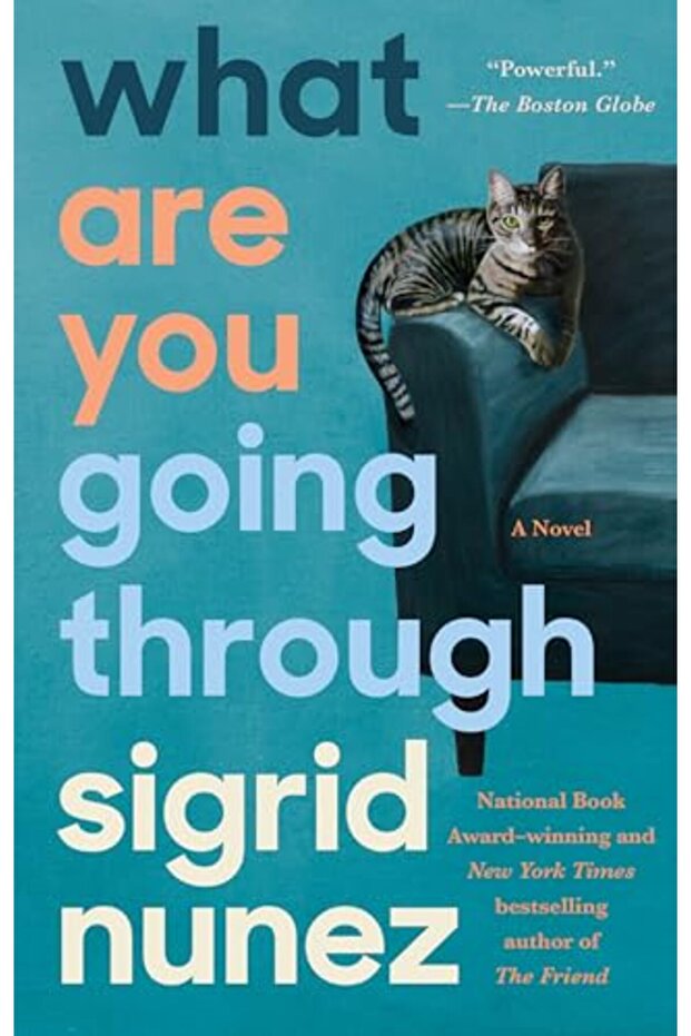 What Are You Going Through A Novel